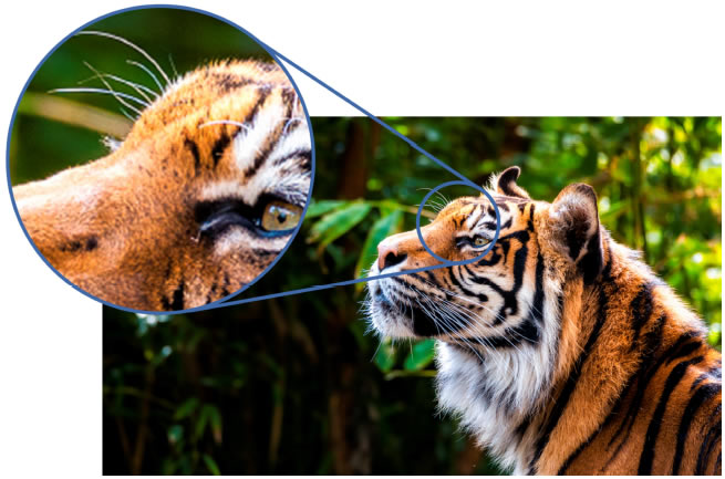 Epson EH-TW850 Full HD Resolution